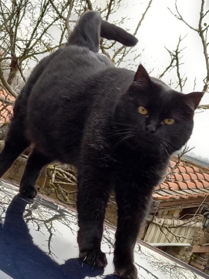 Affittacamere La Fornace Rigomagno Dış mekan fotoğraf