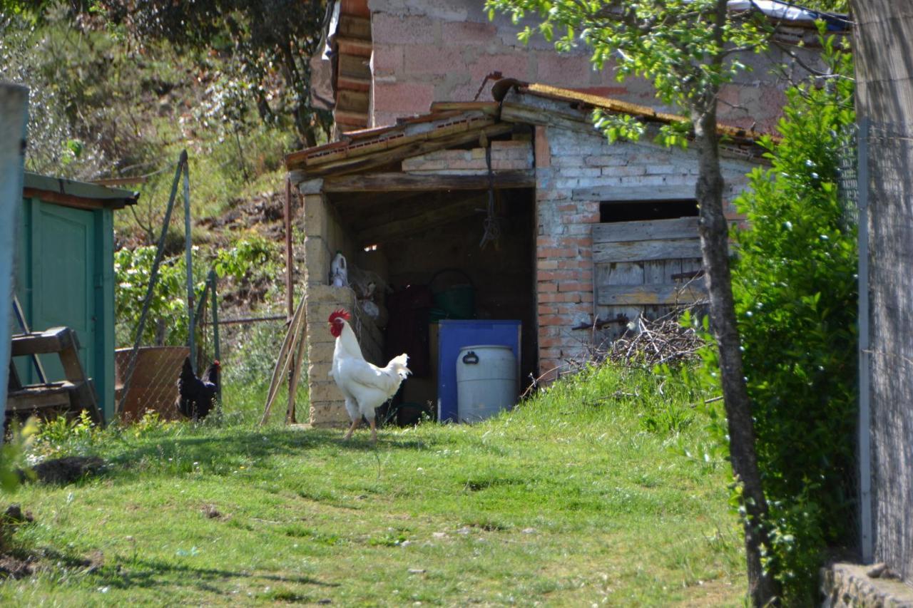 Affittacamere La Fornace Rigomagno Dış mekan fotoğraf